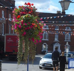 Hanging Basket