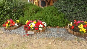 Royal British Legion Garden