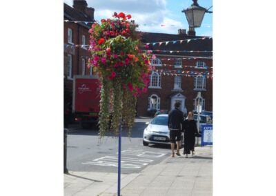 Alcester in Bloom Hanging Basket